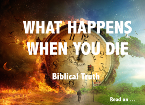 11402994_1095651460449301_64893834819024509_n